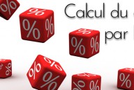Calcul du coût par Lead / coût par Acquisition d’un client sur Internet