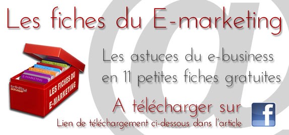 Les petites fiches du e-marketing : astuces pour le web manager