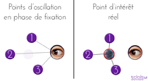 points de fixation occulaire trinity advise